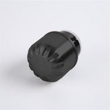 Gourde isotherme inox Black flamingo